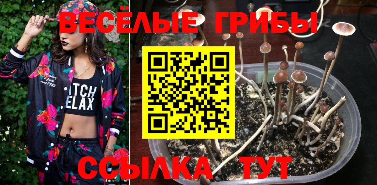 Псилоцибиновые грибы мицелий  Вход с VPN  Галлюциногенные грибы прущие грибы  Ульяновск 